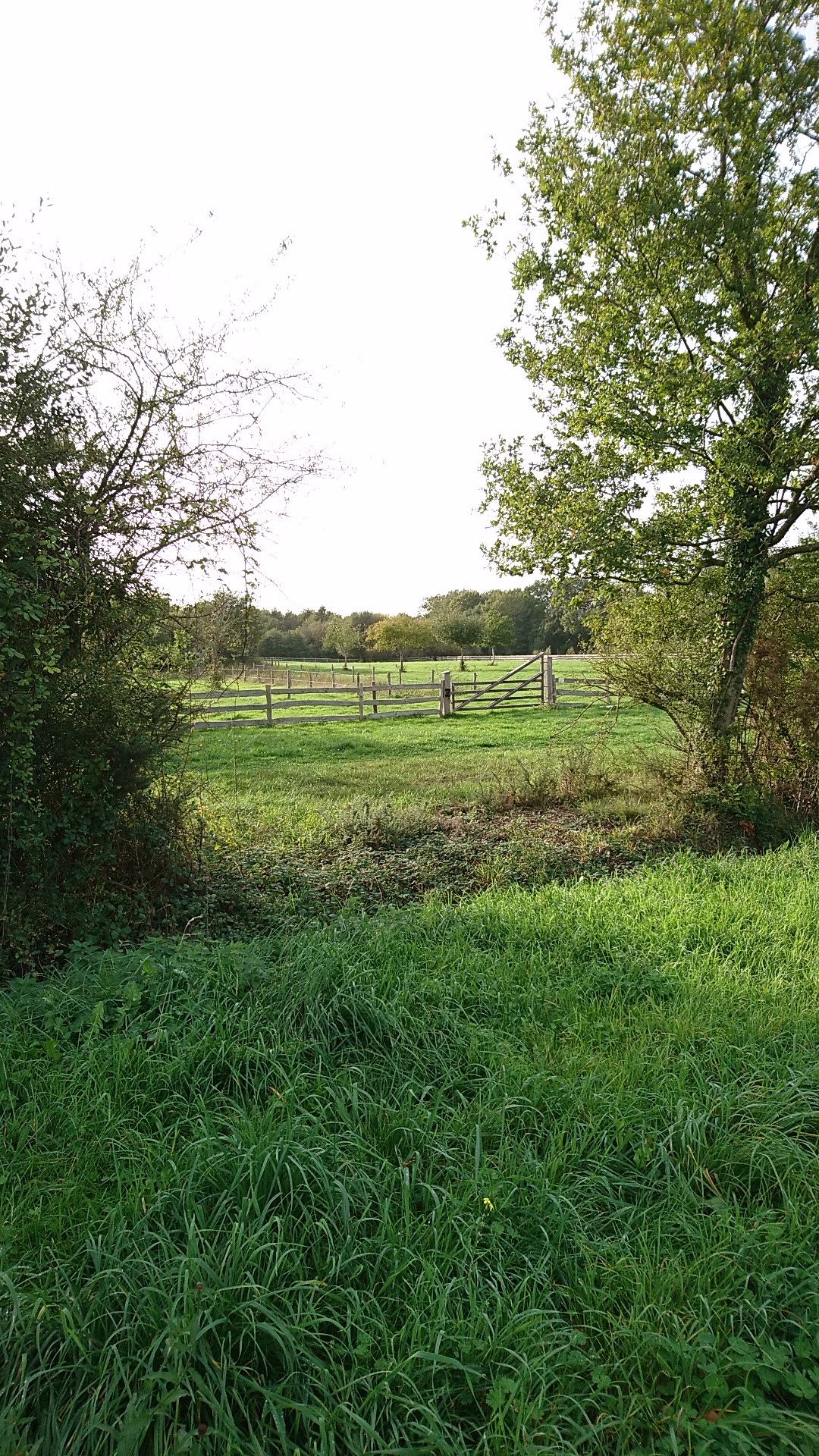 Photo n° 3 de l'avis de N. fait le 27/10/2022 à 15:02