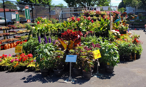 Hardware Store «Parkrose Hardware», reviews and photos, 10625 NE Sandy Blvd, Portland, OR 97220, USA