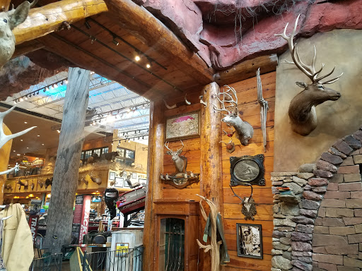 Sporting Goods Store «Bass Pro Shops», reviews and photos, 1133 N Dobson Rd, Mesa, AZ 85201, USA