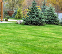 7-Exterior Solutions, LLC - Photo 4 - Car repair in , Kalamazoo