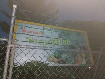 Photos of Batidos Tropicales