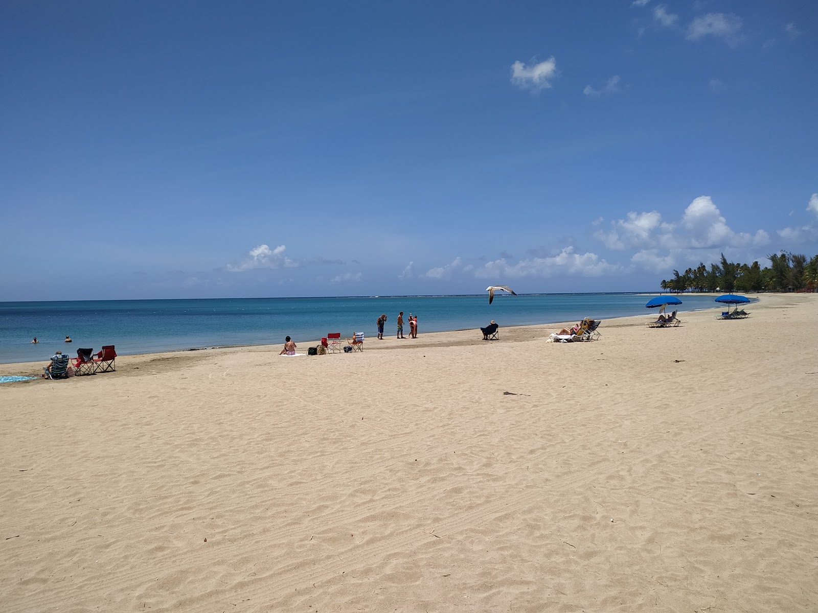 Zdjęcie Playa de Luquillo z powierzchnią turkusowa czysta woda