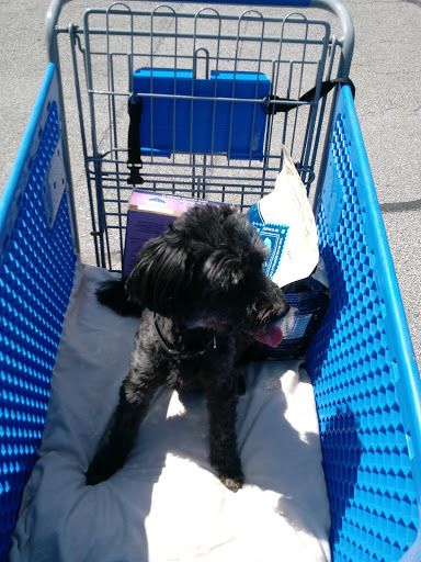 Pet Supply Store «PetSmart», reviews and photos, 263 Midway Blvd, Elyria, OH 44035, USA