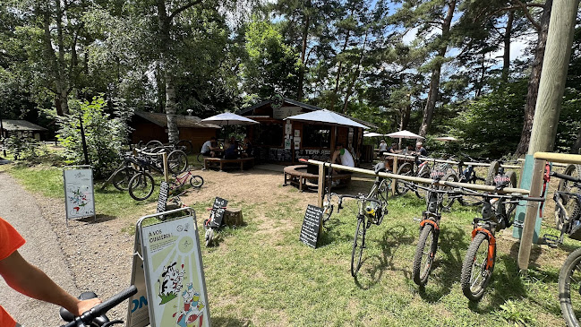 Opinii despre La Roue Verte în Clermont-Ferrand - Magasin de vélos