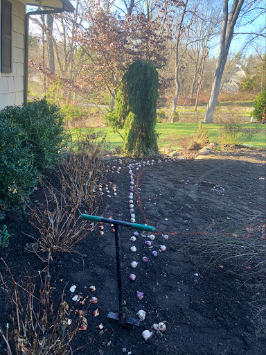 Golf Club «Bedford Golf & Tennis Club», reviews and photos, 535 Cantitoe St, Bedford, NY 10506, USA