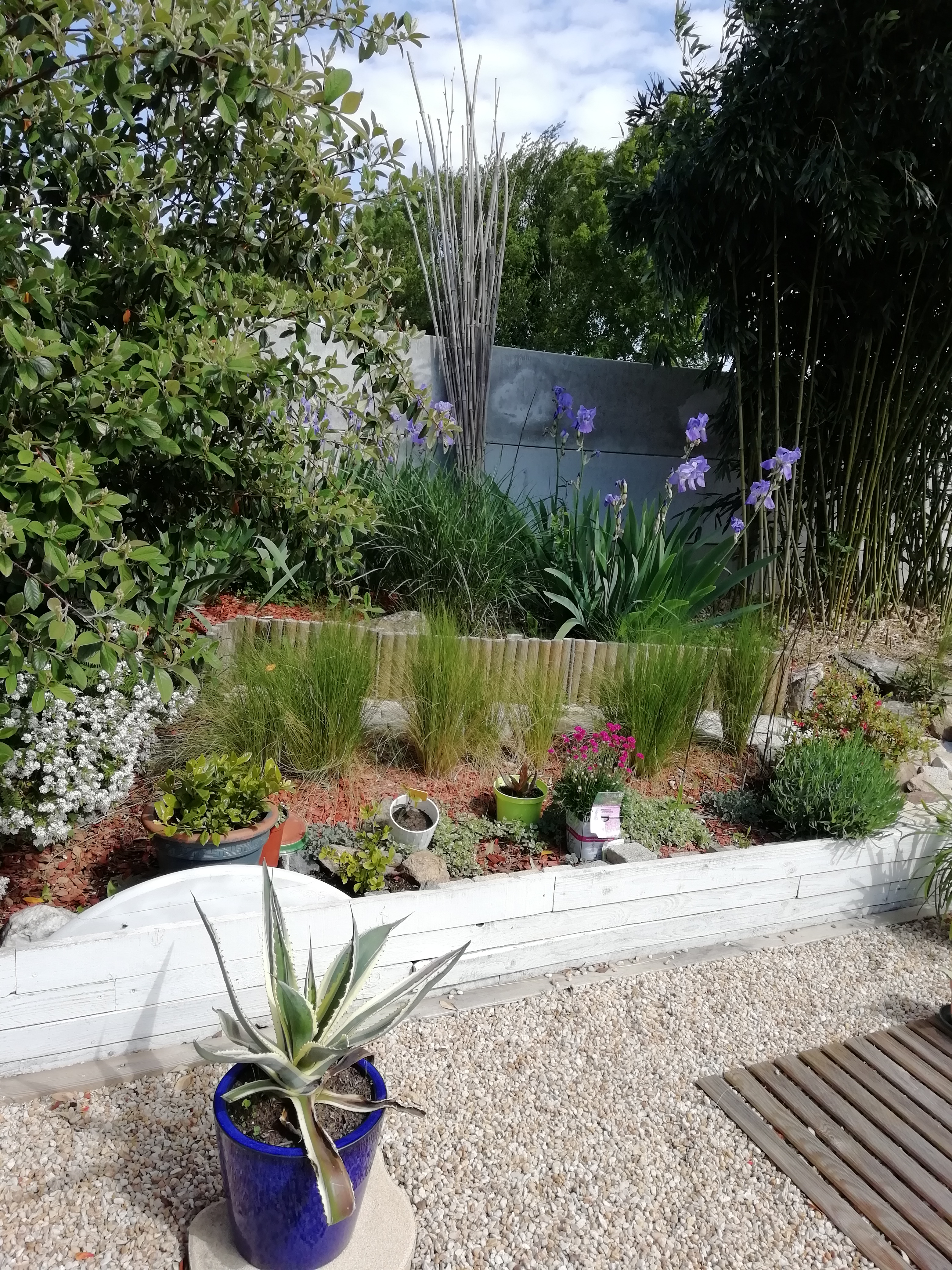 Photo n° 2 de l'avis de Maryvonne.u fait le 10/06/2019 à 15:29