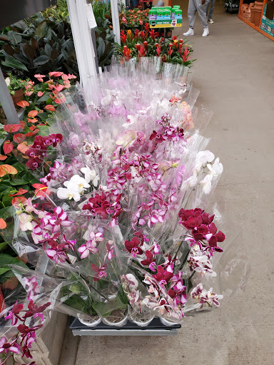 Home Improvement Store «The Home Depot», reviews and photos, 6199 Wilson Mills Rd, Highland Heights, OH 44143, USA