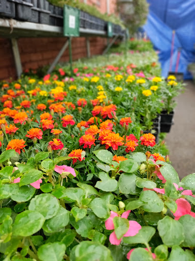 Hardware Store «Tele-Tron Ace Hardware», reviews and photos, 6604 Cermak Rd, Berwyn, IL 60402, USA