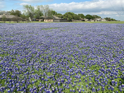 Gym «Carpenter Park Recreation Center», reviews and photos, 6701 Coit Rd, Plano, TX 75024, USA