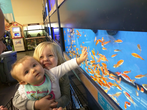 Pet Supply Store «Petco Animal Supplies», reviews and photos, 226 Thornton Drive, Dickson, TN 37055, USA