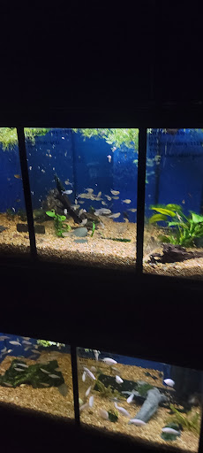 Pet Store «Olathe Pet Shop», reviews and photos, 16651 151st St, Olathe, KS 66062, USA