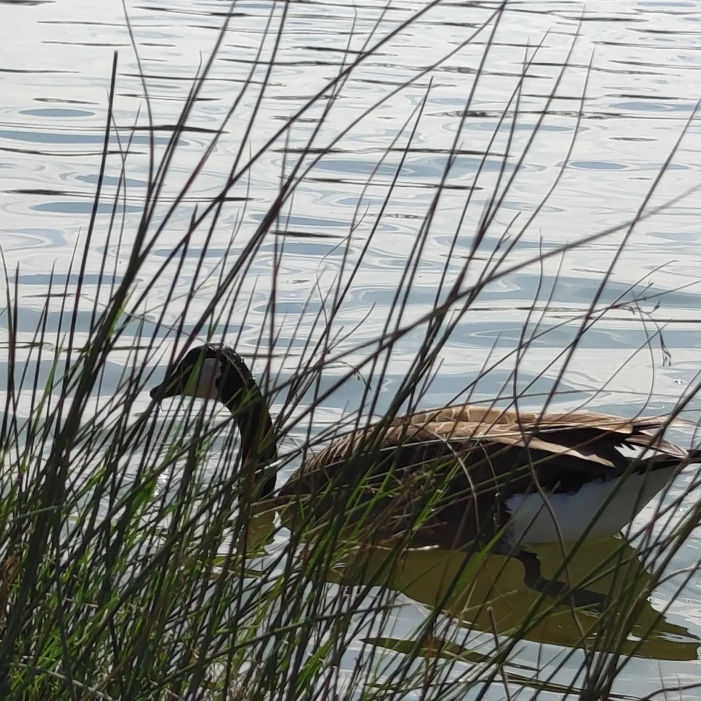 Photo n° 2 de l'avis de Javier.l fait le 20/03/2022 à 12:48