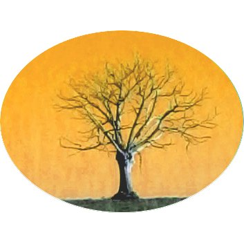 ANTOINE Guillaume Arboriste Grimpeur à Chauffour-sur-Vell