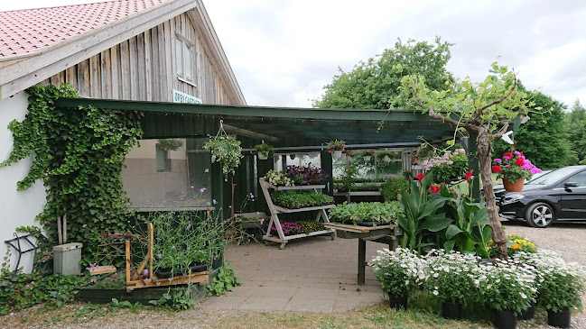 Anmeldelser af Ørby Gaardbutik & Gartneri i Helsinge - Restaurant