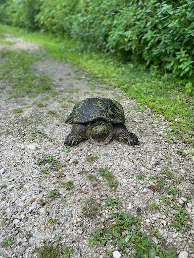 Nature Preserve «Crabtree Nature Center», reviews and photos, 3 Stover Rd, Barrington, IL 60010, USA