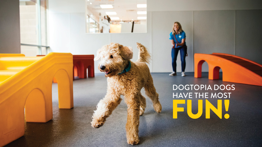 Dogtopia at Wolverine Worldwide