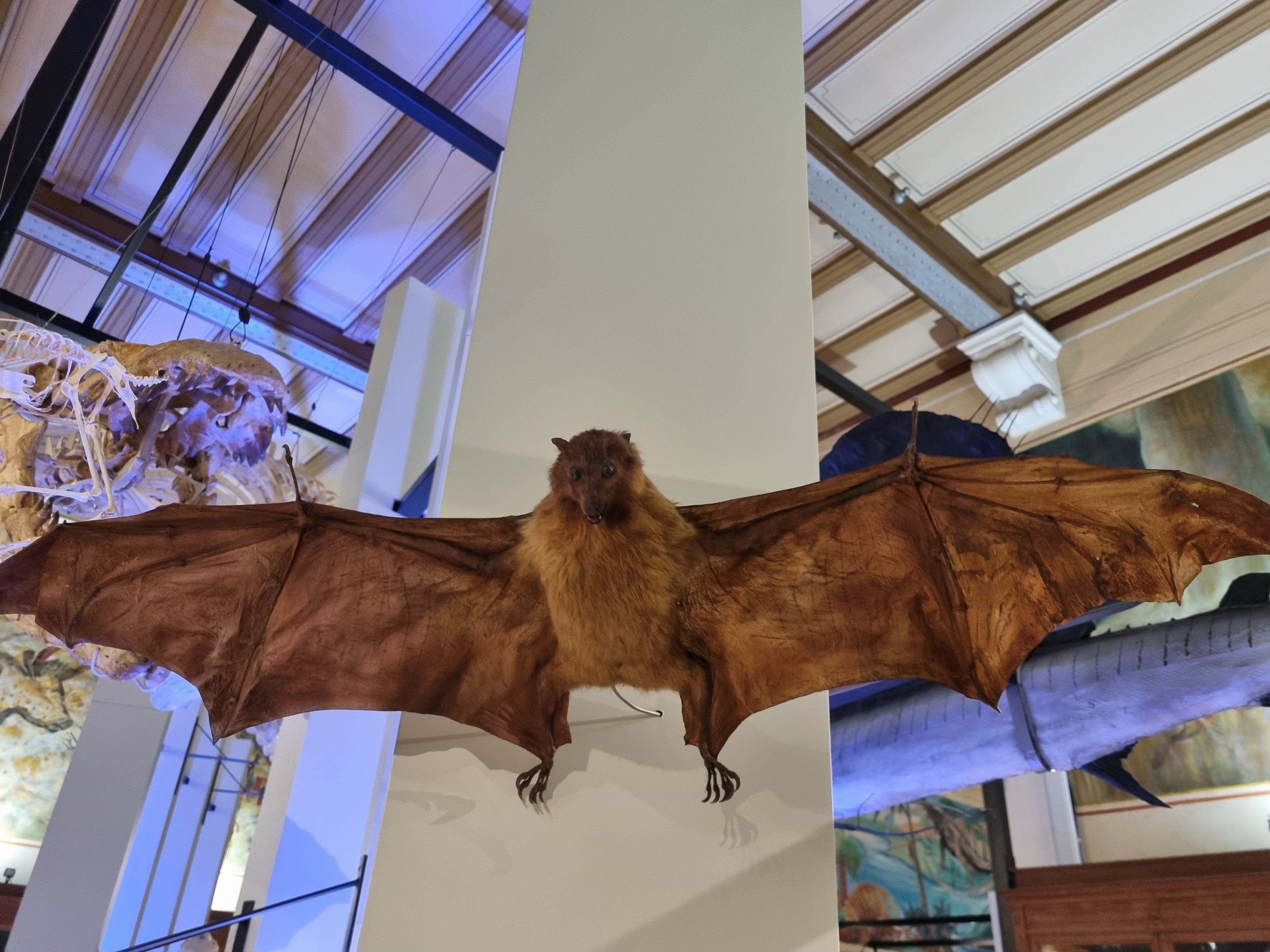 Photo n° 11 de l'avis de Jean-Louis.E fait le 15/08/2023 à 21:58