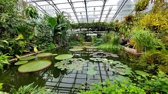 Reviews of Oxford Botanic Garden in Oxford - Museum