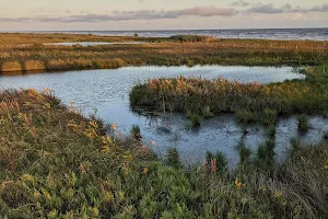 Sea Rim State Park image