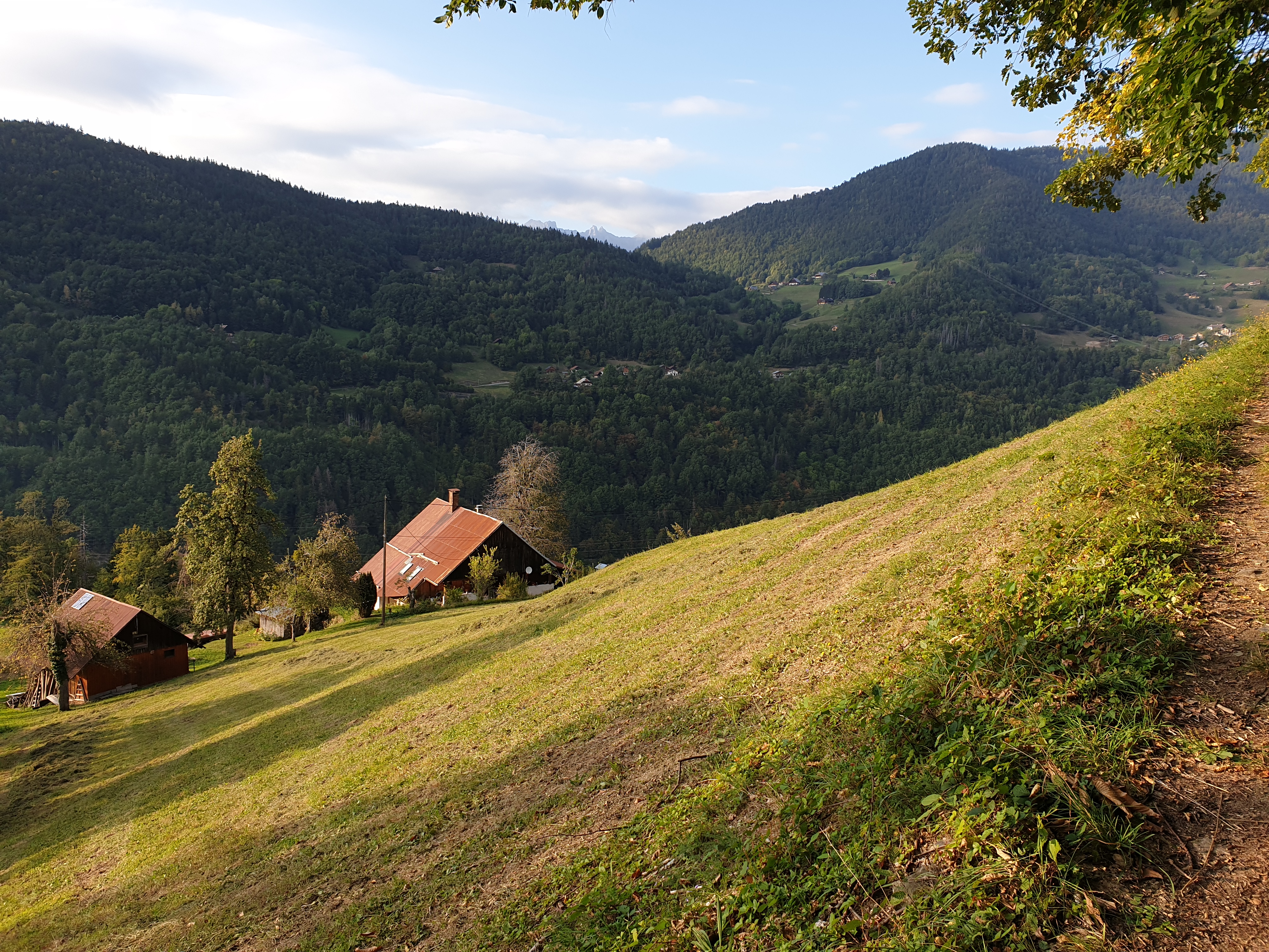 Photo n° 8 de l'avis de Bas. fait le 21/09/2019 à 13:53