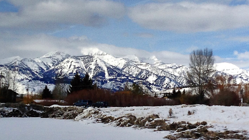 Nurse Georgie Nutrition & Health