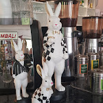 Photo n°3 de l'avis de Violetta.e fait le 18/07/2021 à 20:06 sur le  Freigeist • Pension & Brasserie • zwischen Sternberg und Güstrow à Witzin