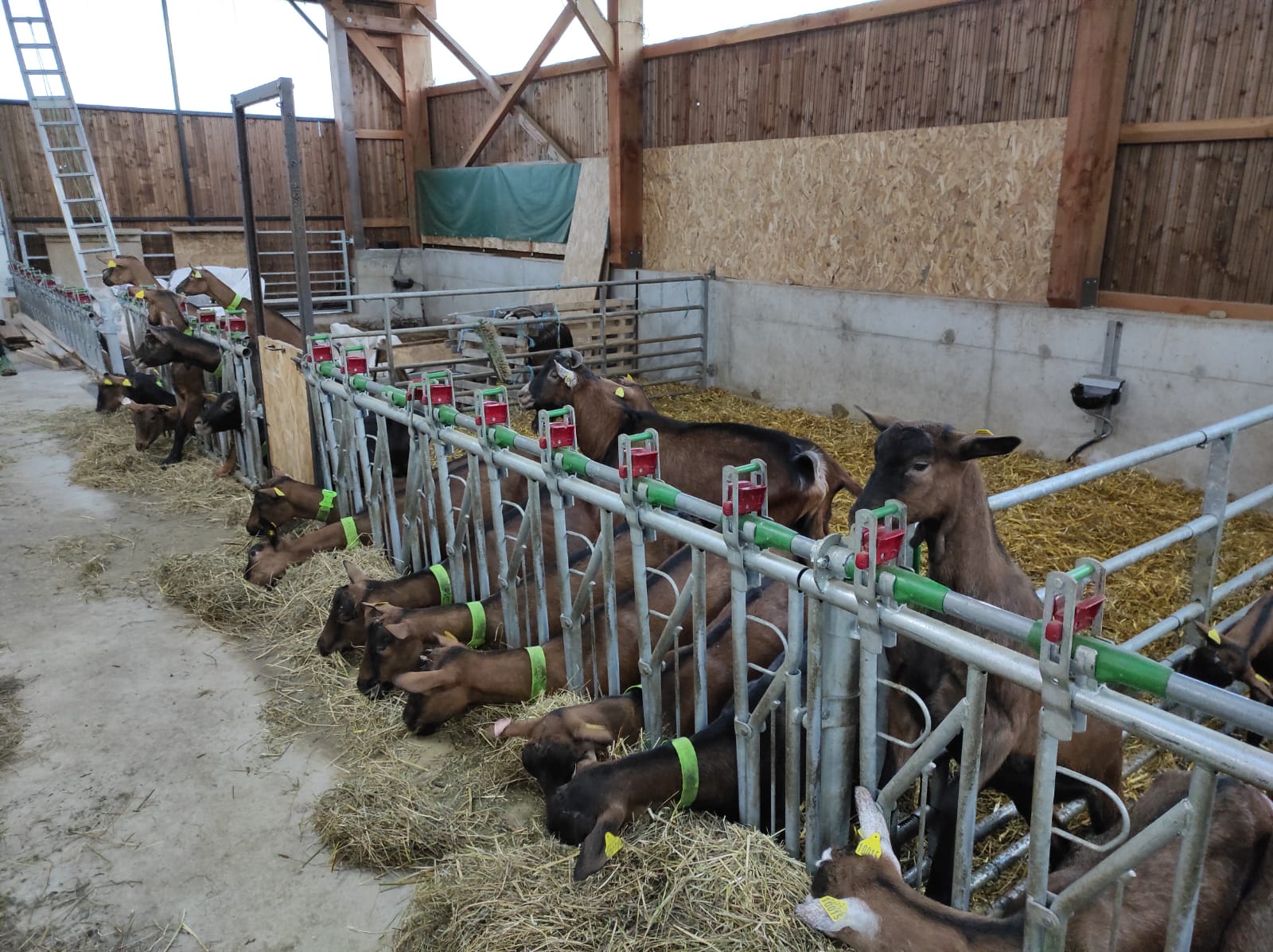 Photo n° 3 de l'avis de Carine.o fait le 02/11/2021 à 07:02