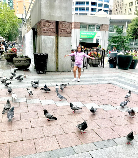 Park «Westlake Park», reviews and photos, 401 Pine St, Seattle, WA 98101, USA