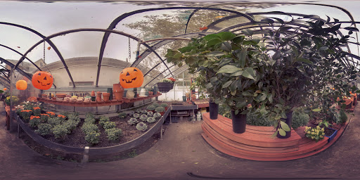 Florist «Manhasset Florist & Greenhouse», reviews and photos, 25 Orchard St, Manhasset, NY 11030, USA