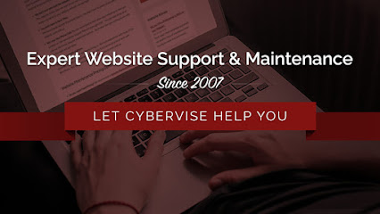 Cybervise Limited