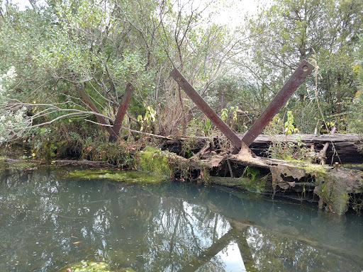 Tourist Attraction «Mallows Bay», reviews and photos, 1440 Wilson Landing Rd, Nanjemoy, MD 20662, USA
