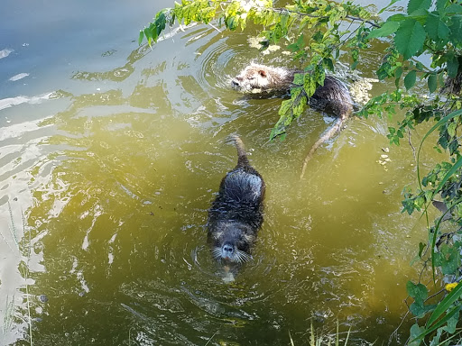 Park «Bear Creek Park», reviews and photos, 400 Bear Creek Park Rd, Keller, TX 76248, USA