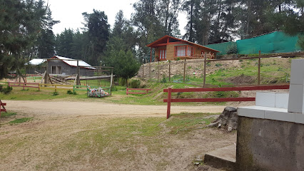 Camping Bosque Hermoso