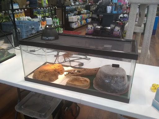 Pet Store «Pet Valu», reviews and photos, 1091 Mill Creek Rd #5a, Allentown, PA 18106, USA