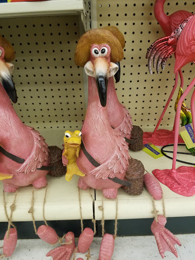 Craft Store «Hobby Lobby», reviews and photos, 12201 W Markham St, Little Rock, AR 72211, USA