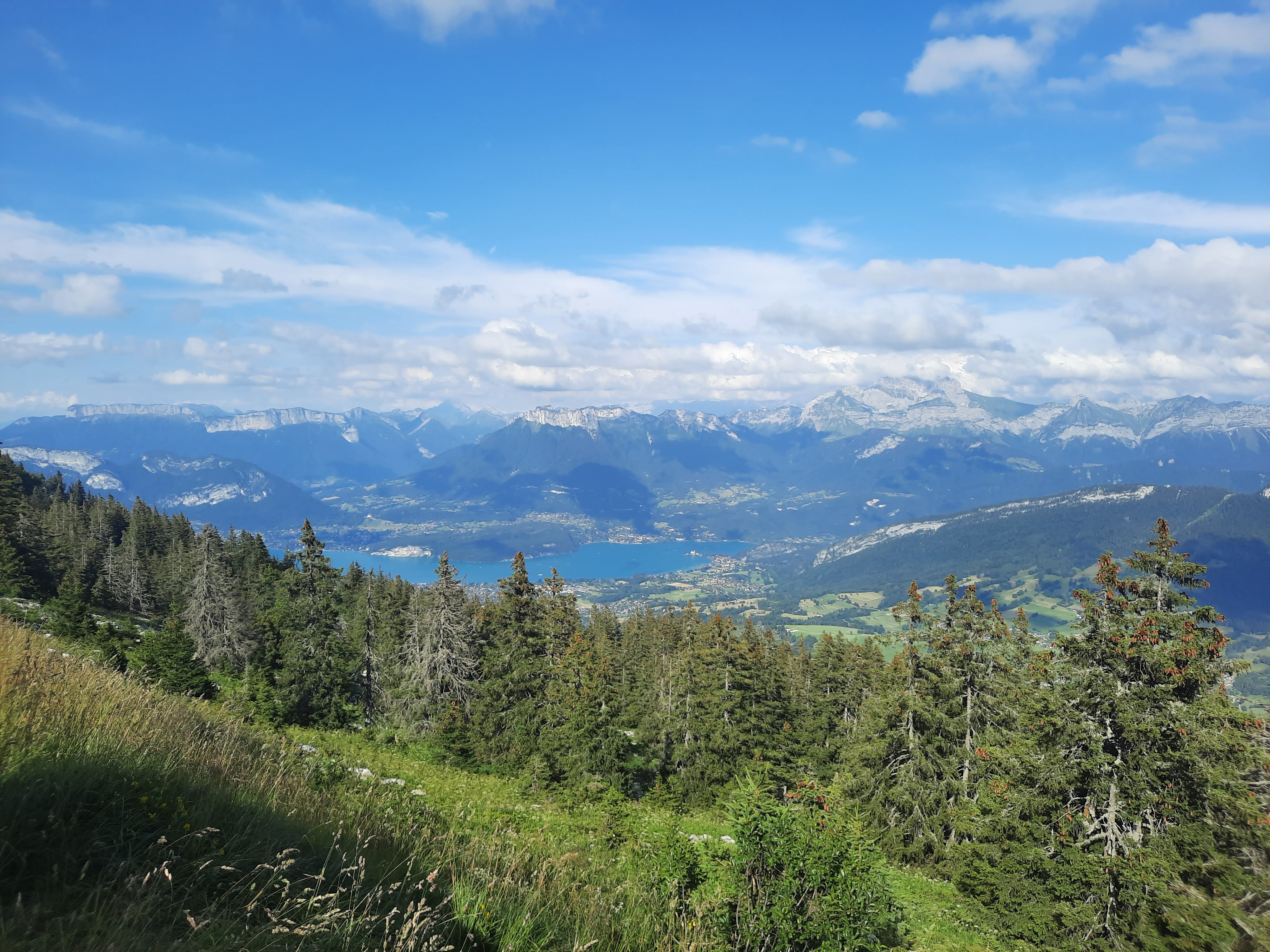 Photo n° 16 de l'avis de Moïse.a fait le 17/08/2021 à 02:16