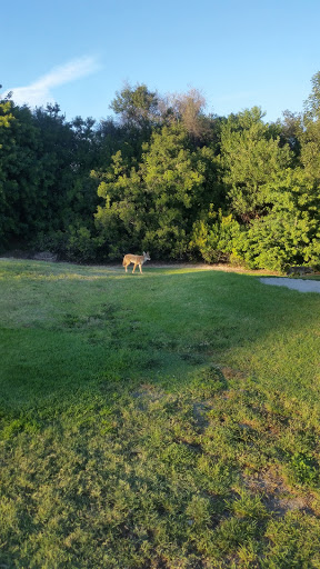 Golf Course «Dad Miller Golf Course», reviews and photos, 430 N Gilbert St, Anaheim, CA 92801, USA