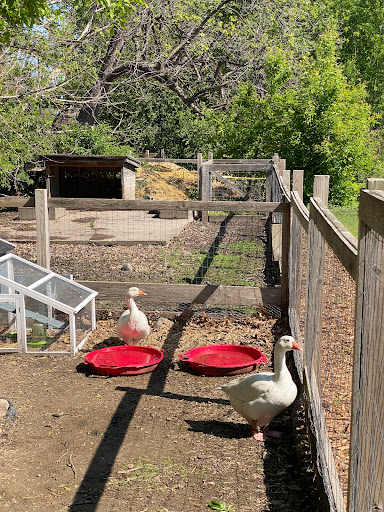 Museum «Gibbs Farm», reviews and photos, 2097 Larpenteur Ave W, St Paul, MN 55113, USA