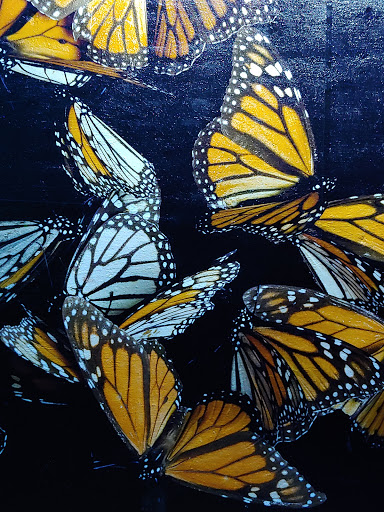 Zoo «Dallas Zoological Society», reviews and photos, 650 S R L Thornton Fwy, Dallas, TX 75203, USA