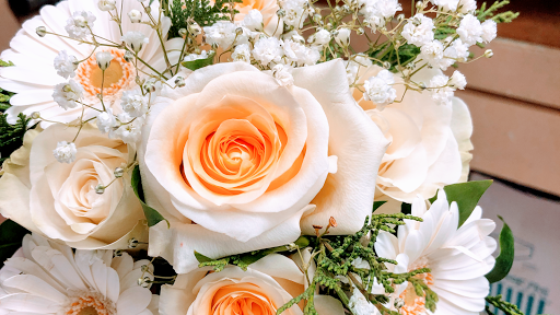 Florist «Sykes the Florist and Greenhouses», reviews and photos, 1300 Lawrence St, Lowell, MA 01852, USA