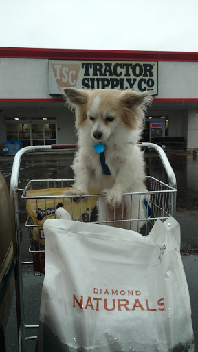 Home Improvement Store «Tractor Supply Co.», reviews and photos, 990 Tharp Rd, Yuba City, CA 95993, USA