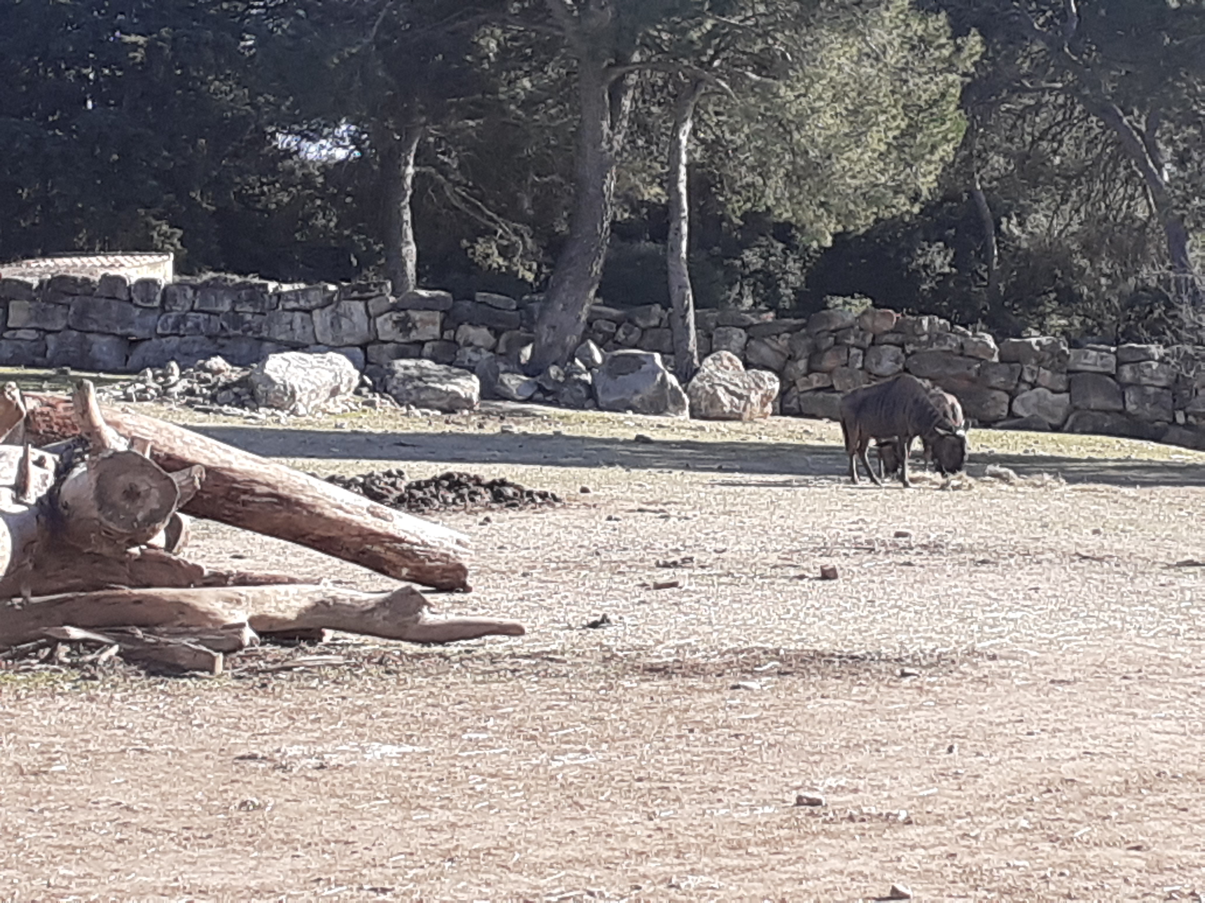 Photo n° 32 de l'avis de Abdelhamid.L fait le 22/02/2024 à 20:52
