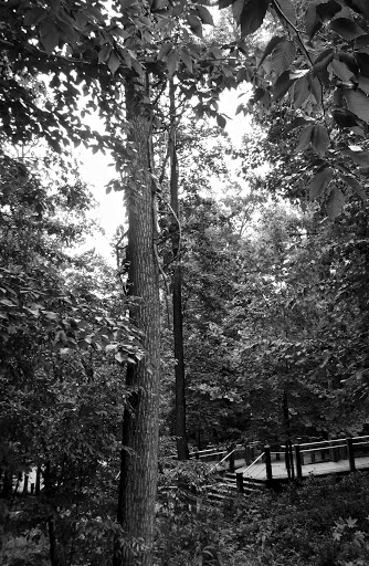 Park «Louise F Cosca Regional Park», reviews and photos, 11000 Thrift Rd, Clinton, MD 20735, USA