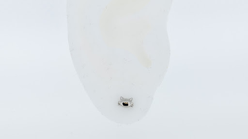 Explore empathy tattoo ideas, creative tattoo ideas in Des Moines, available at Axiom Body Piercing Studio