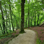 Photo n° 9 de l'avis de Savanna.e fait le 26/06/2021 à 14:03 pour Parc Animalier Saint Martin Montaigu La Brisette à Montaigu-la-Brisette