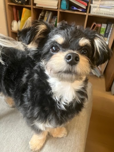 墨名動物病院