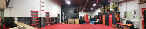 Gym «Phoenix Freerunning Academy», reviews and photos, 12936 Farmington Rd, Livonia, MI 48150, USA