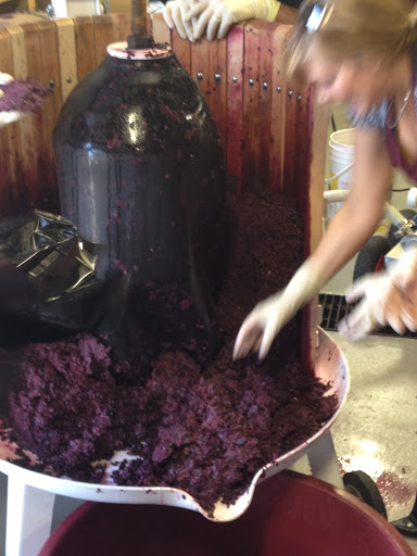 Winery «wineUdesign», reviews and photos, 156 Engineers Dr, Hicksville, NY 11801, USA