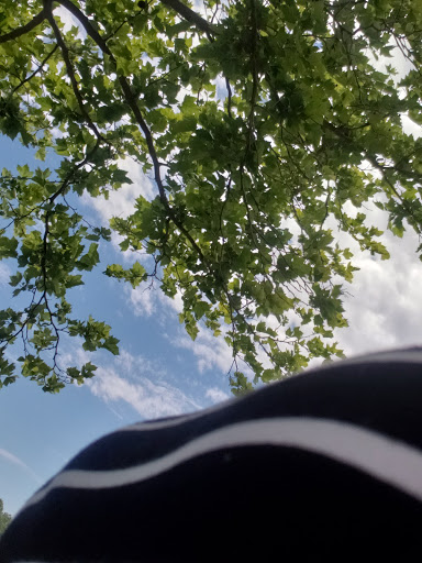 Amusement Park «SplashDown Waterpark», reviews and photos, 7500 Ben Lomond Park Rd, Manassas, VA 20109, USA