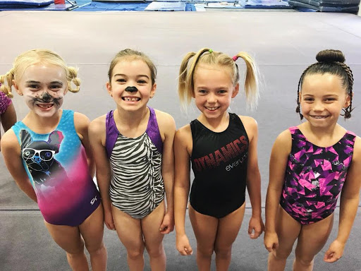 Gymnastics Center «Arizona Dynamics Gymnastics», reviews and photos, 2450 E Germann Rd #17, Chandler, AZ 85286, USA